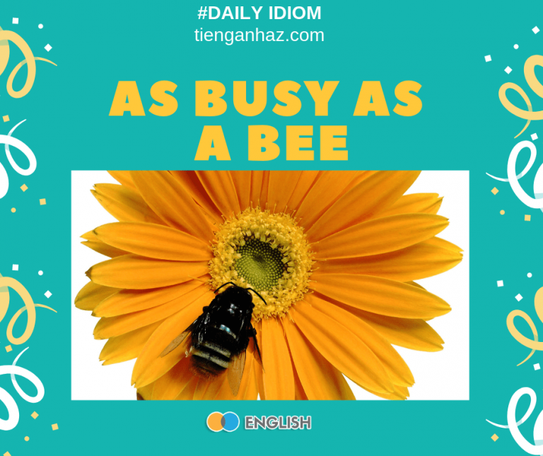 [Daily idiom] As Busy As A Bee - Bận Rộn - Tieng Anh AZ