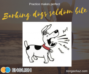 Barking dogs seldom bite tienganhaz.com idioms