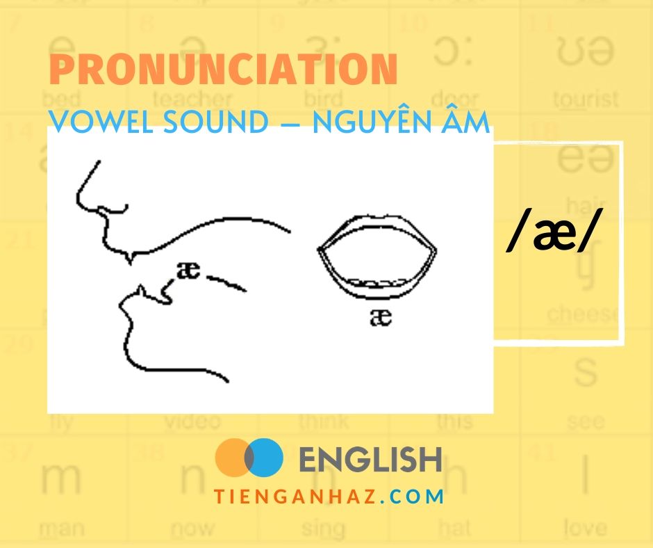 Pronunciation Vowel Sound Ae Tieng Anh Az