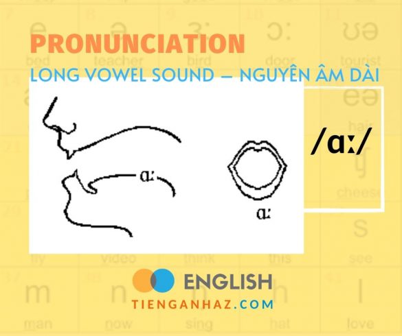 Pronunciation | Long vowel sound – Nguyên âm dài /ɑː/