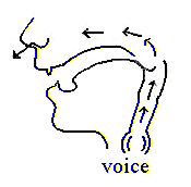 Pronunciation | Consonant sound - Phụ âm /ŋ/ - Tieng Anh AZ