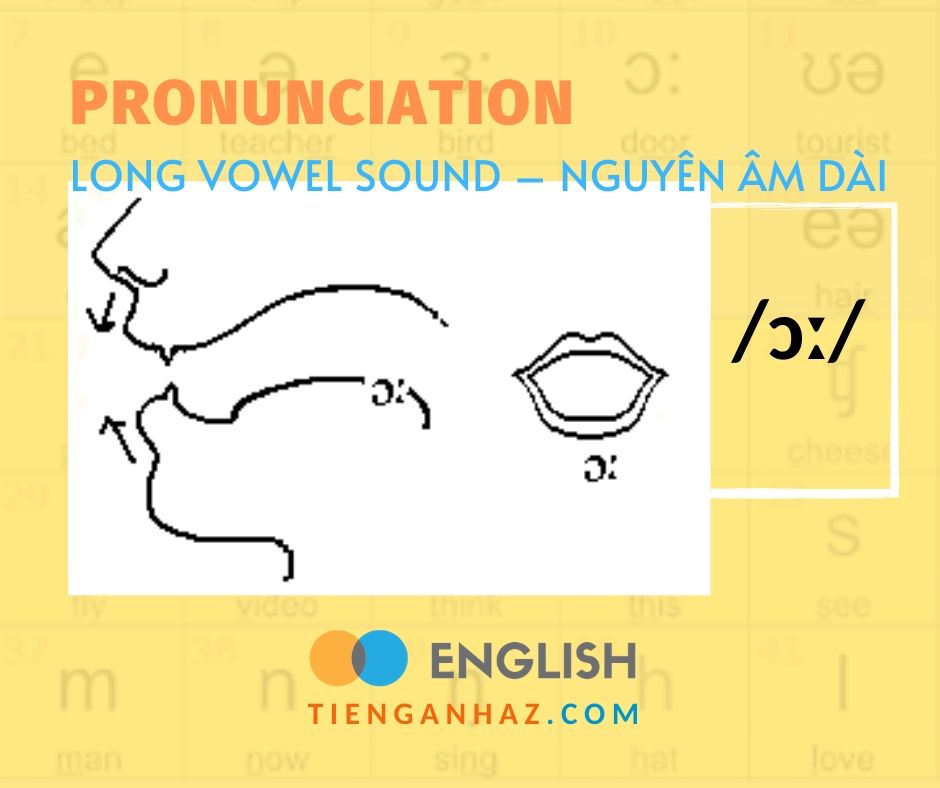 Pronunciation | Long vowel sound – Nguyên âm dài /ɔː/ - Tieng Anh AZ
