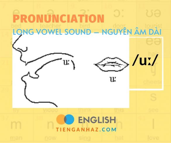 Pronunciation | Long vowel sound - Nguyên âm dài /uː/