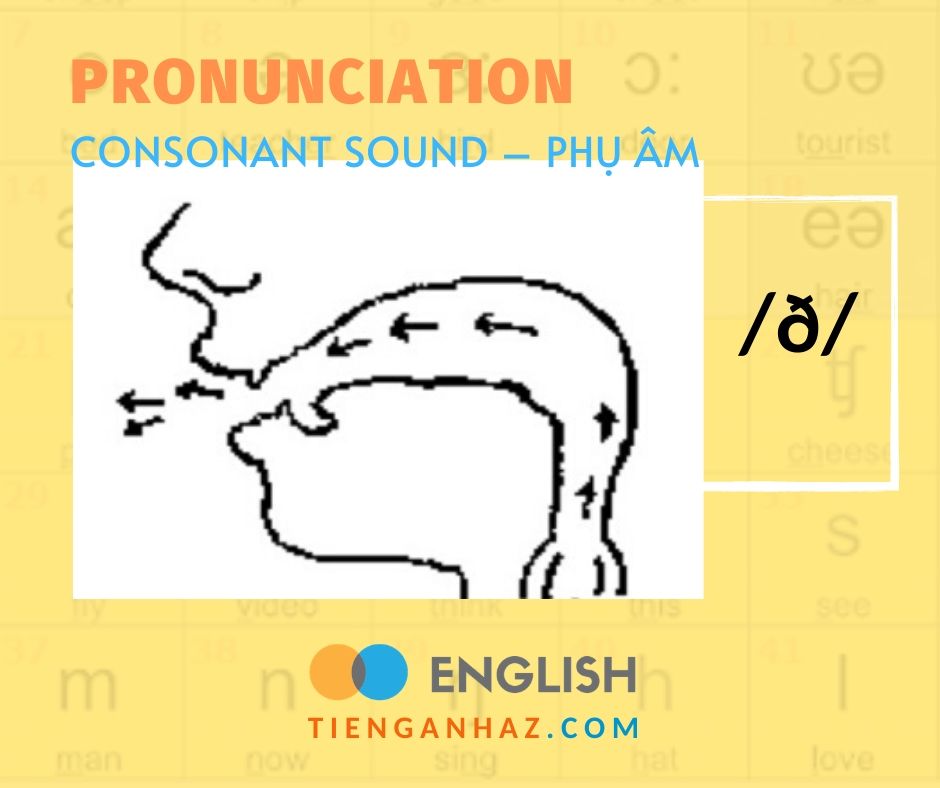 Pronunciation | Consonant sound - Phụ âm /ð/ - Tieng Anh AZ