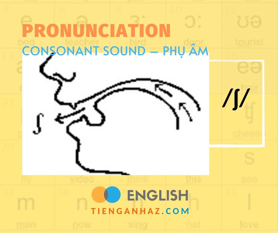 Pronunciation | Consonant sound - Phụ âm /ʃ/ - Tieng Anh AZ