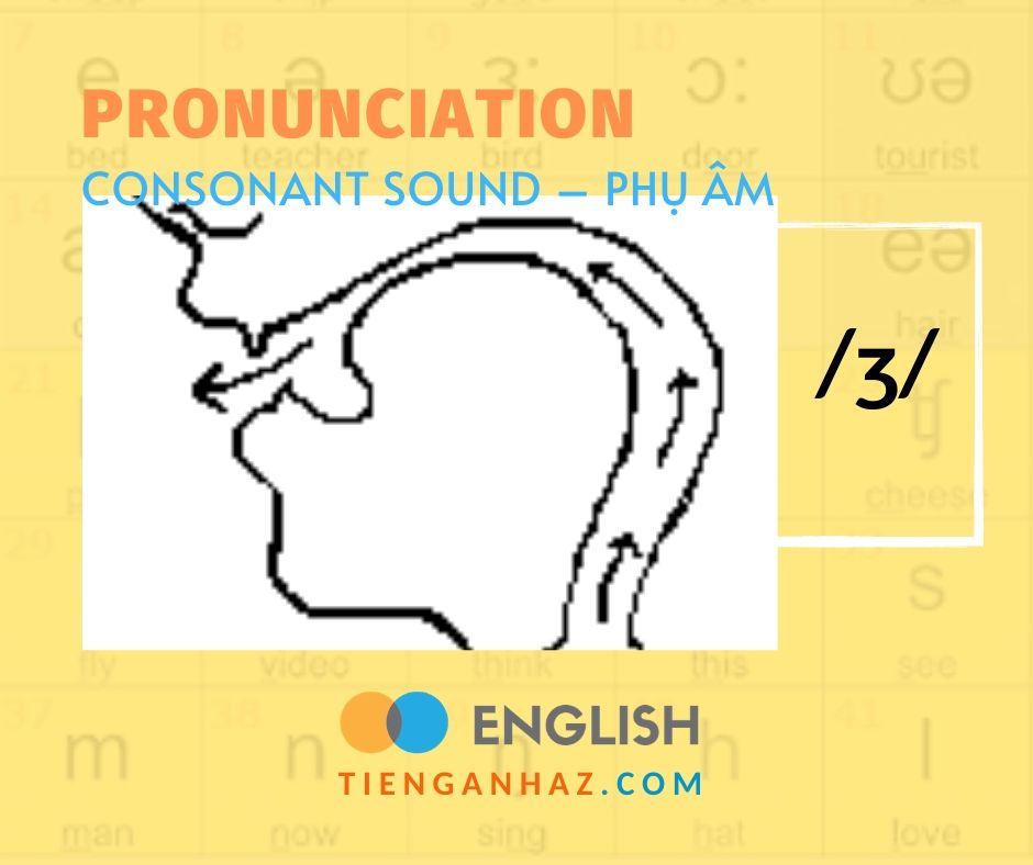Pronunciation | Consonant sound - Phụ âm /ʒ/ - Tieng Anh AZ