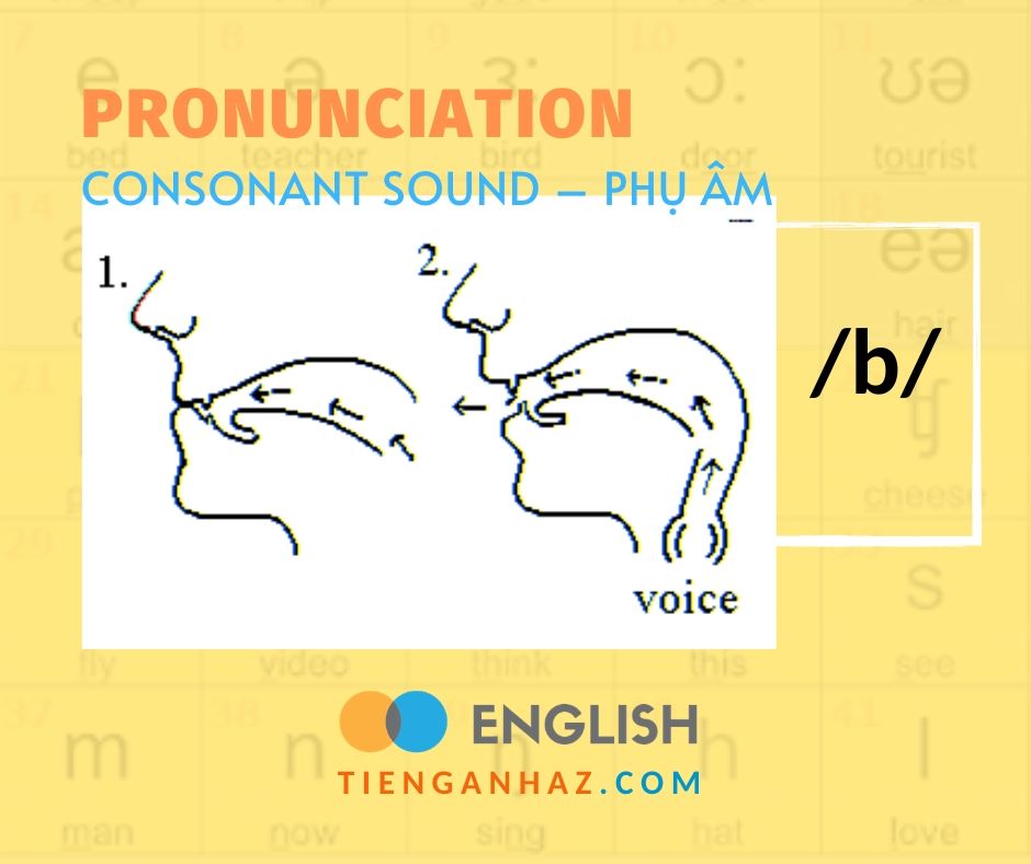 dbngin pronunciation