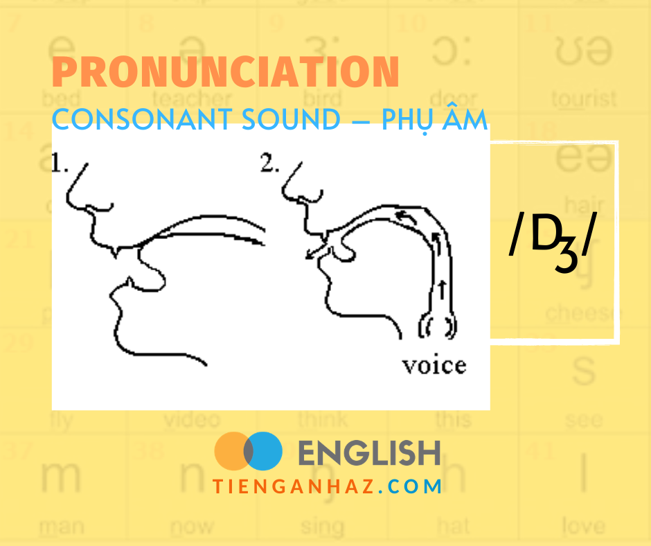 Pronunciation | Consonant sound - Phụ âm /dʒ/ - Tieng Anh AZ