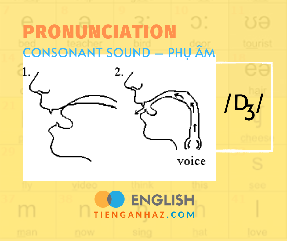 how-to-pronounce-phonetics-pronunciation-of-phonetics-youtube