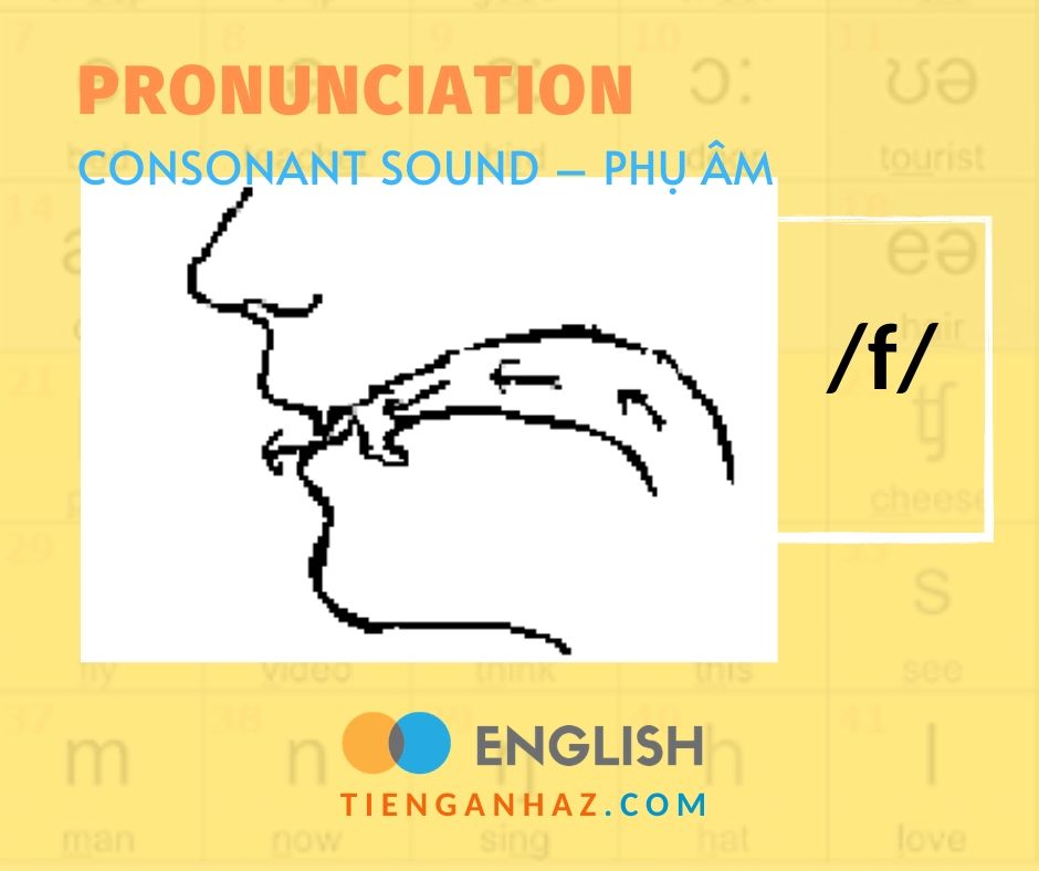 Pronunciation Consonant sound Phụ âm /f/ Tieng Anh AZ
