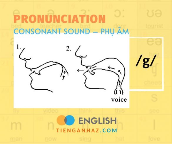 Consonant sound | Phụ âm /g/