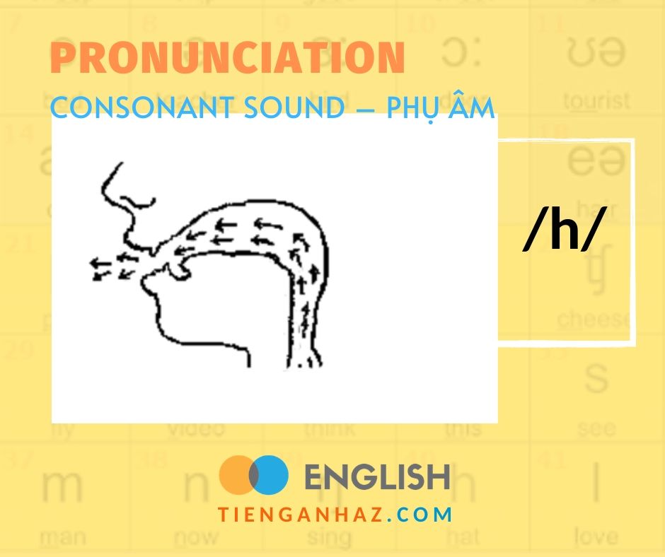 Pronunciation | Consonant sound - Phụ âm /h/ - Tieng Anh AZ