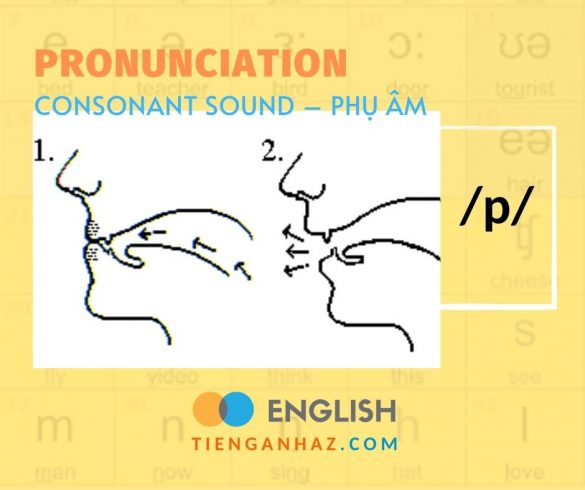 Consonant sound | Phụ âm /p/