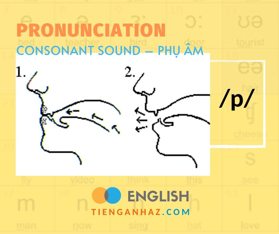 Pronunciation Consonant Sound Phụ Am P Tieng Anh Az