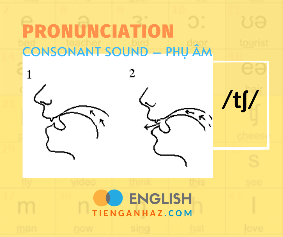 Pronunciation | Consonant sound - Phụ âm /tʃ/ - Tieng Anh AZ