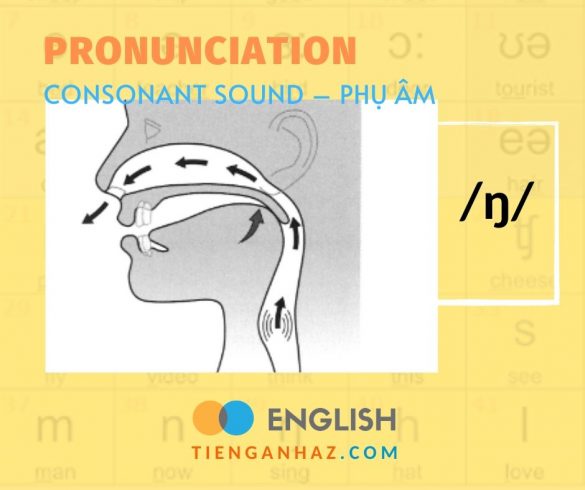 Consonant-ŋ
